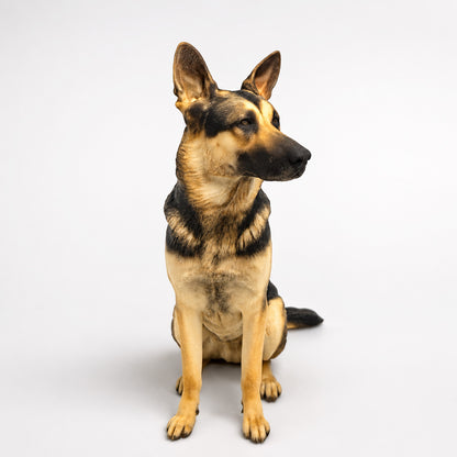 Custom Dog Figurine